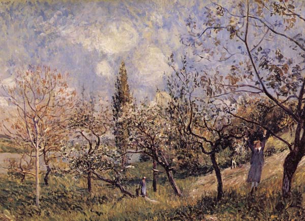 Orchard in Sping-By